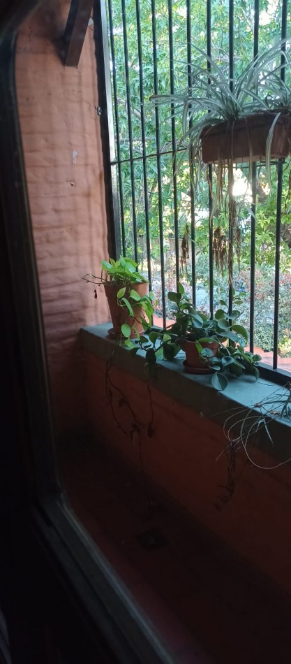 CASA ESTILO COLONIAL VENTA-ALQUILER